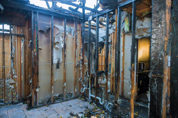 Professional Fire Damage Removal technician working in Grant, NE